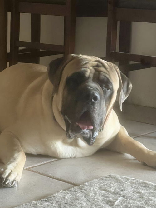 Tank