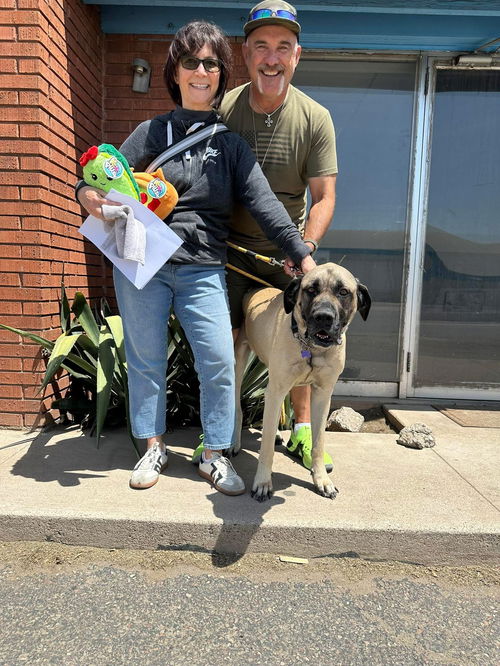 VIOLET ADOPTED