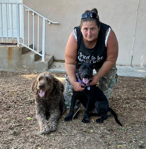 Rosebud - ADOPTION PENDING