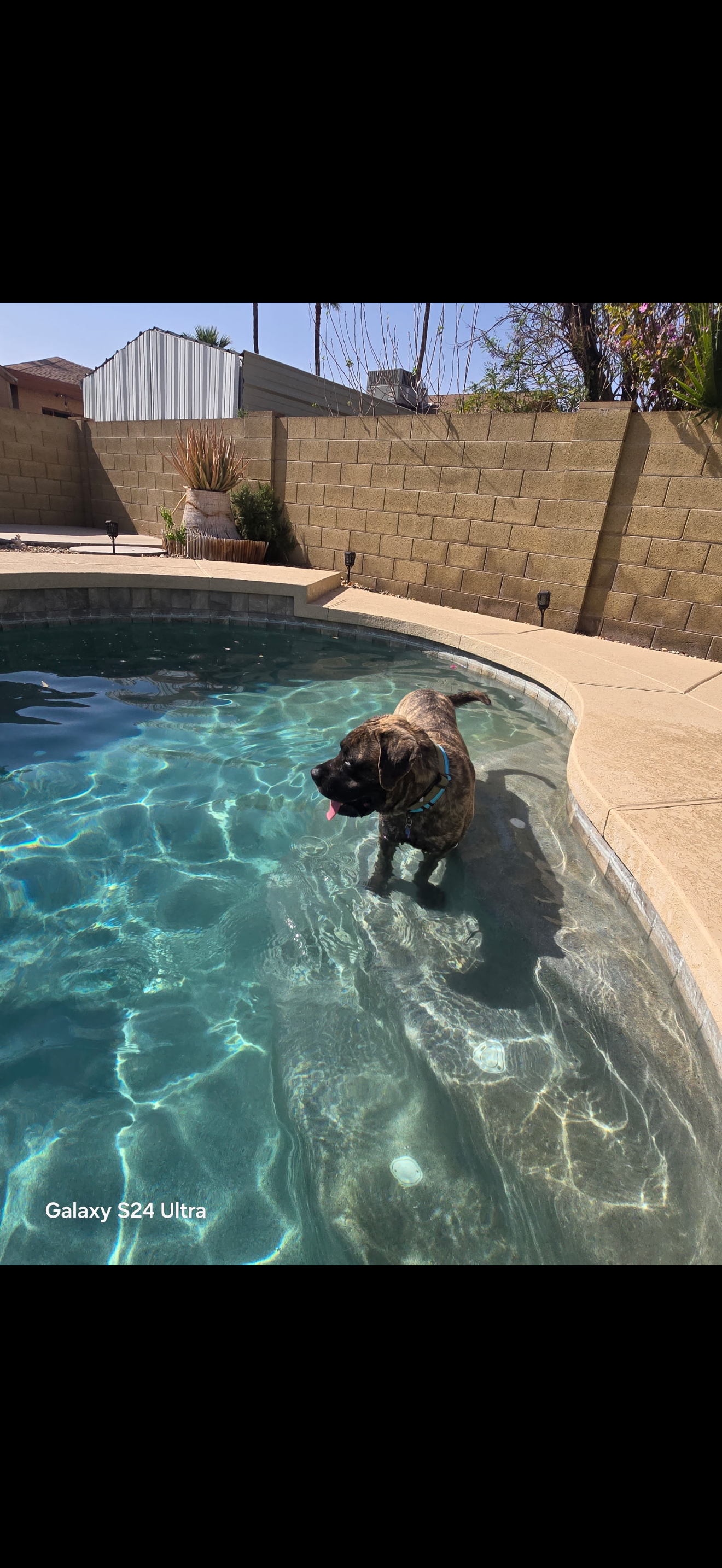 EARP - ADOPTED