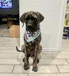 Bane