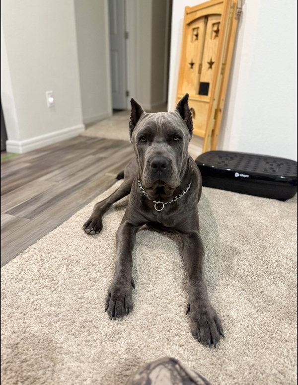 Odin