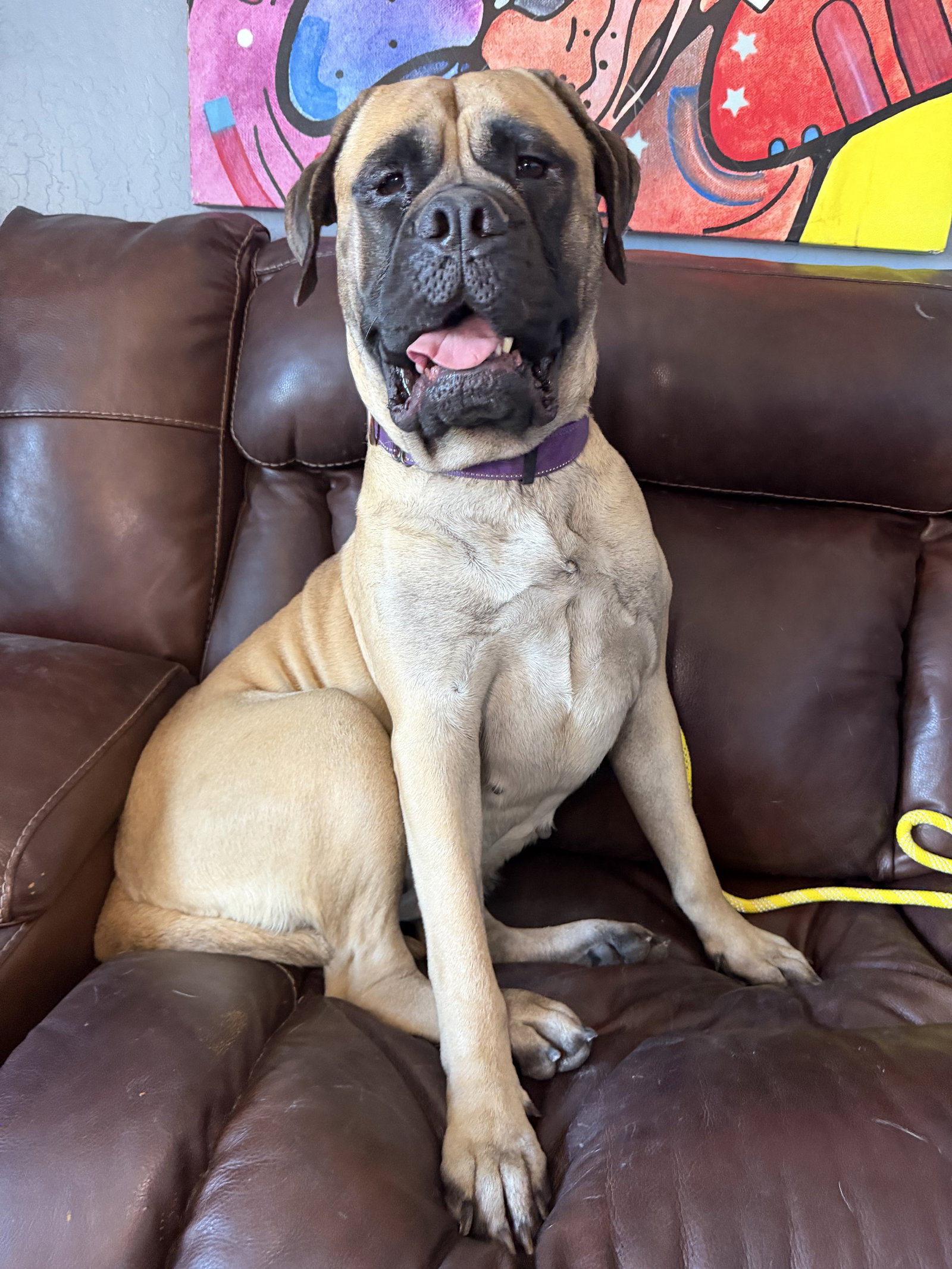 Betty boo Image