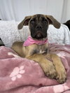 Chloe