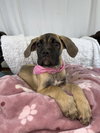 Chloe