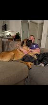 Annie  adopted