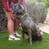 Xena - Photo 3