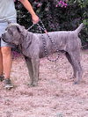 Max - Photo 5