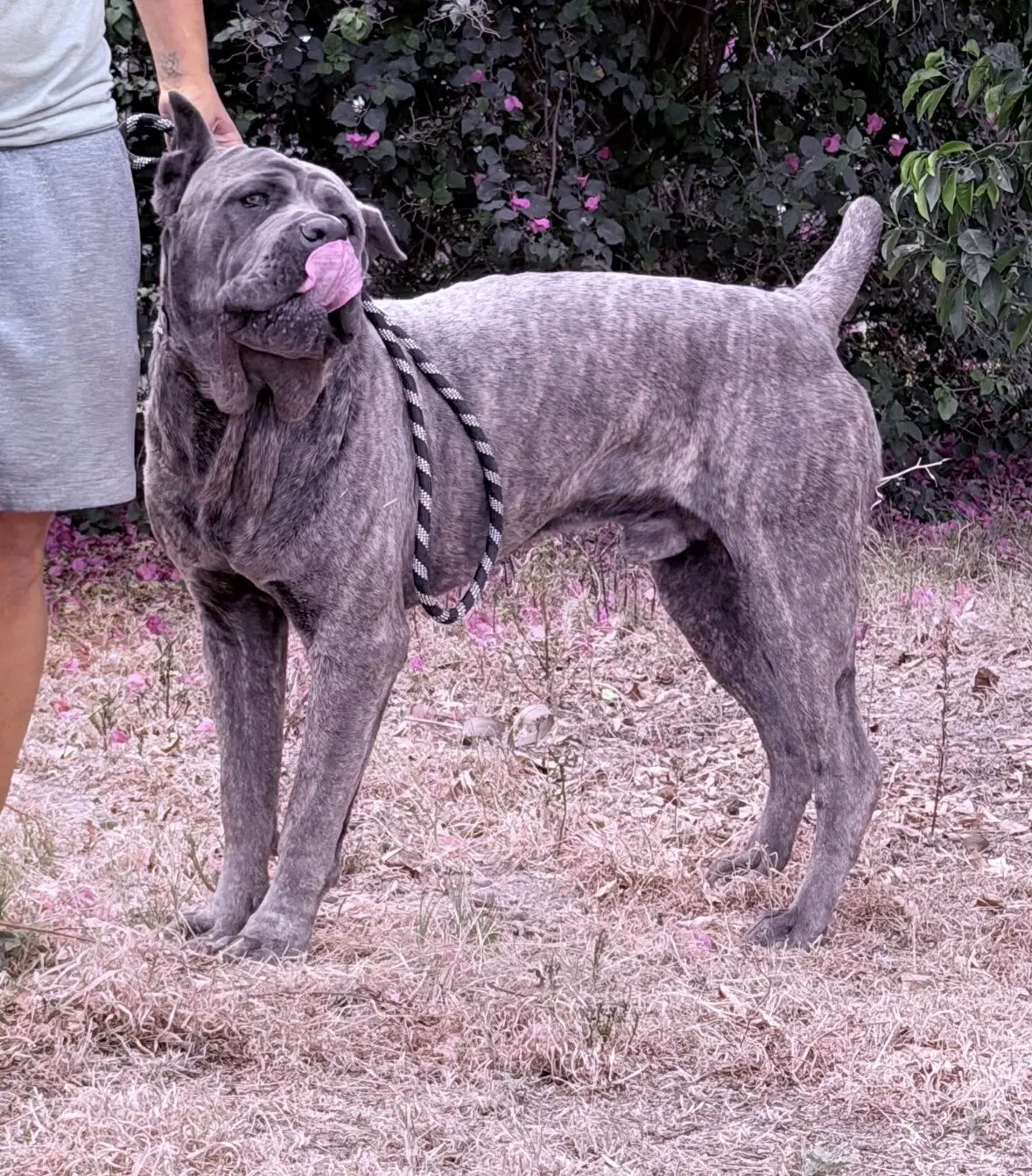 Max image 4