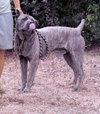 Max - Photo 4