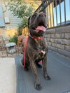 Zoe - Photo 3