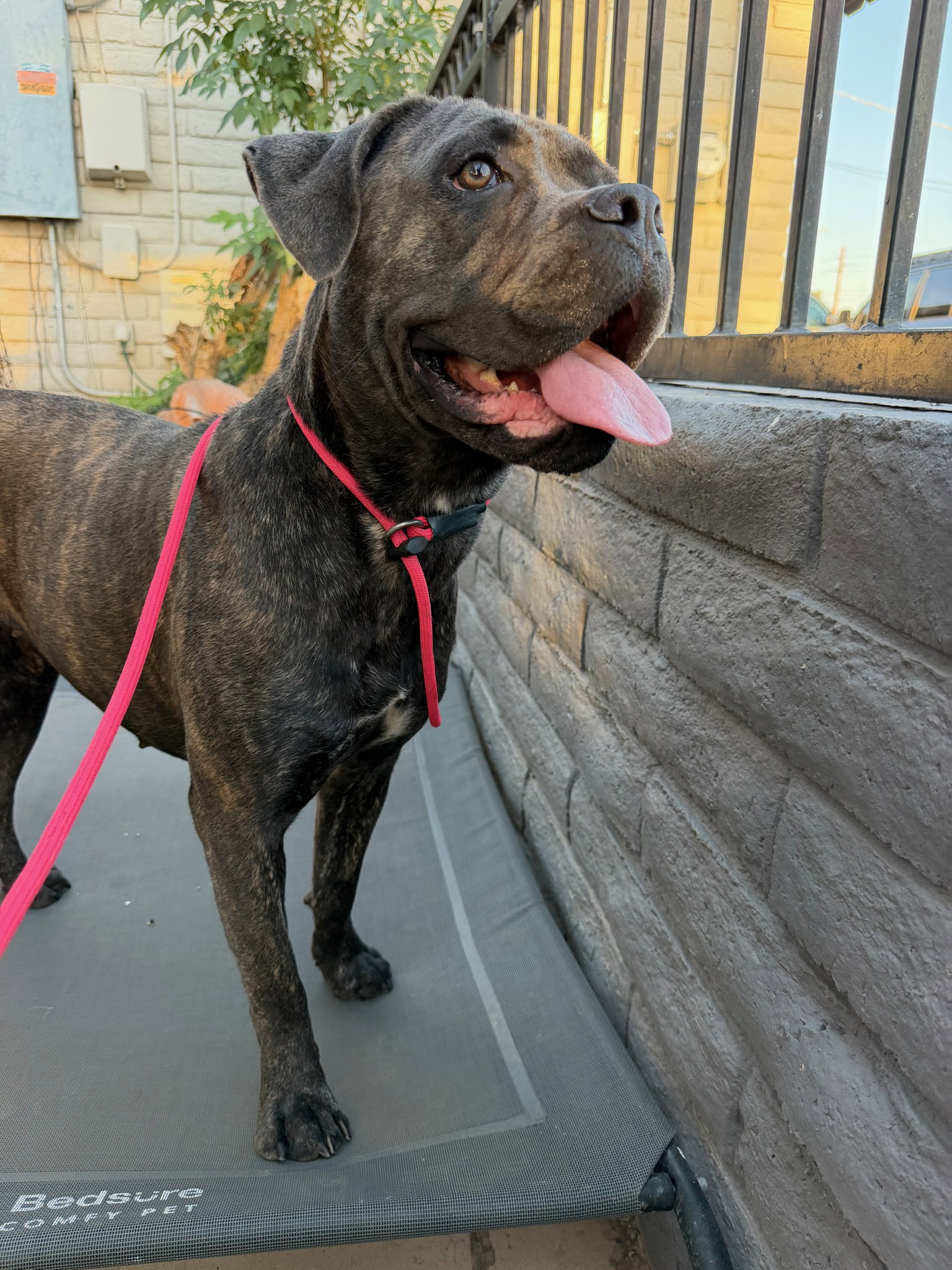 Zoe