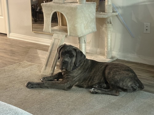 Ares