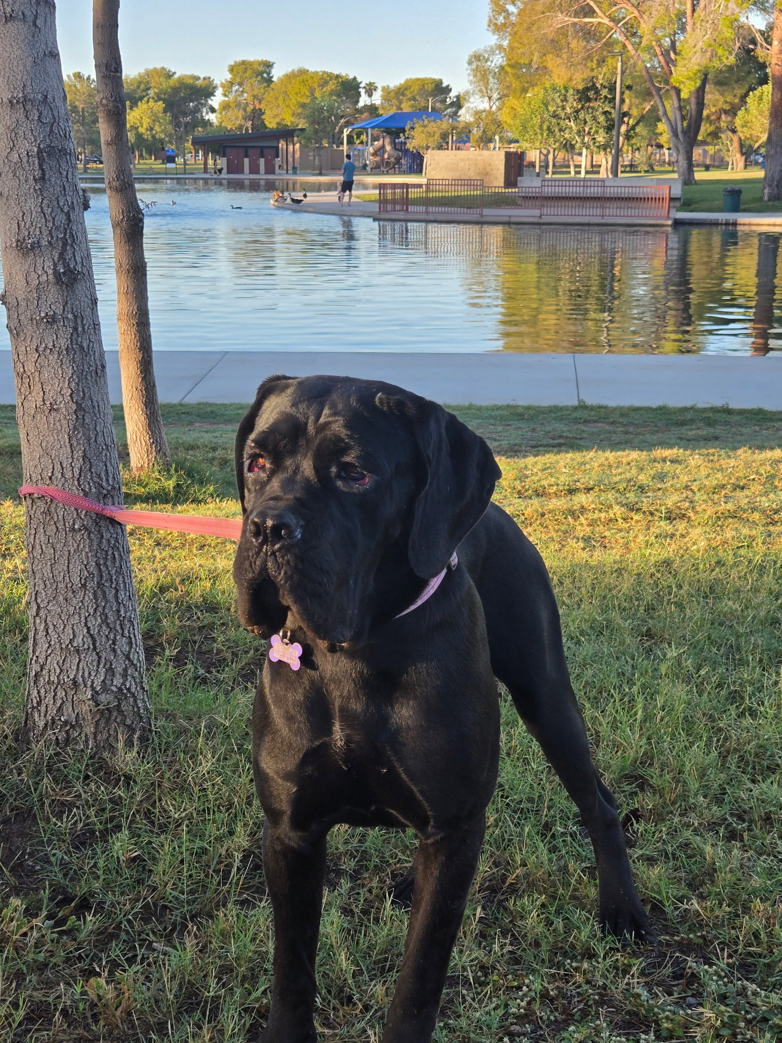 Sophie, photo 4