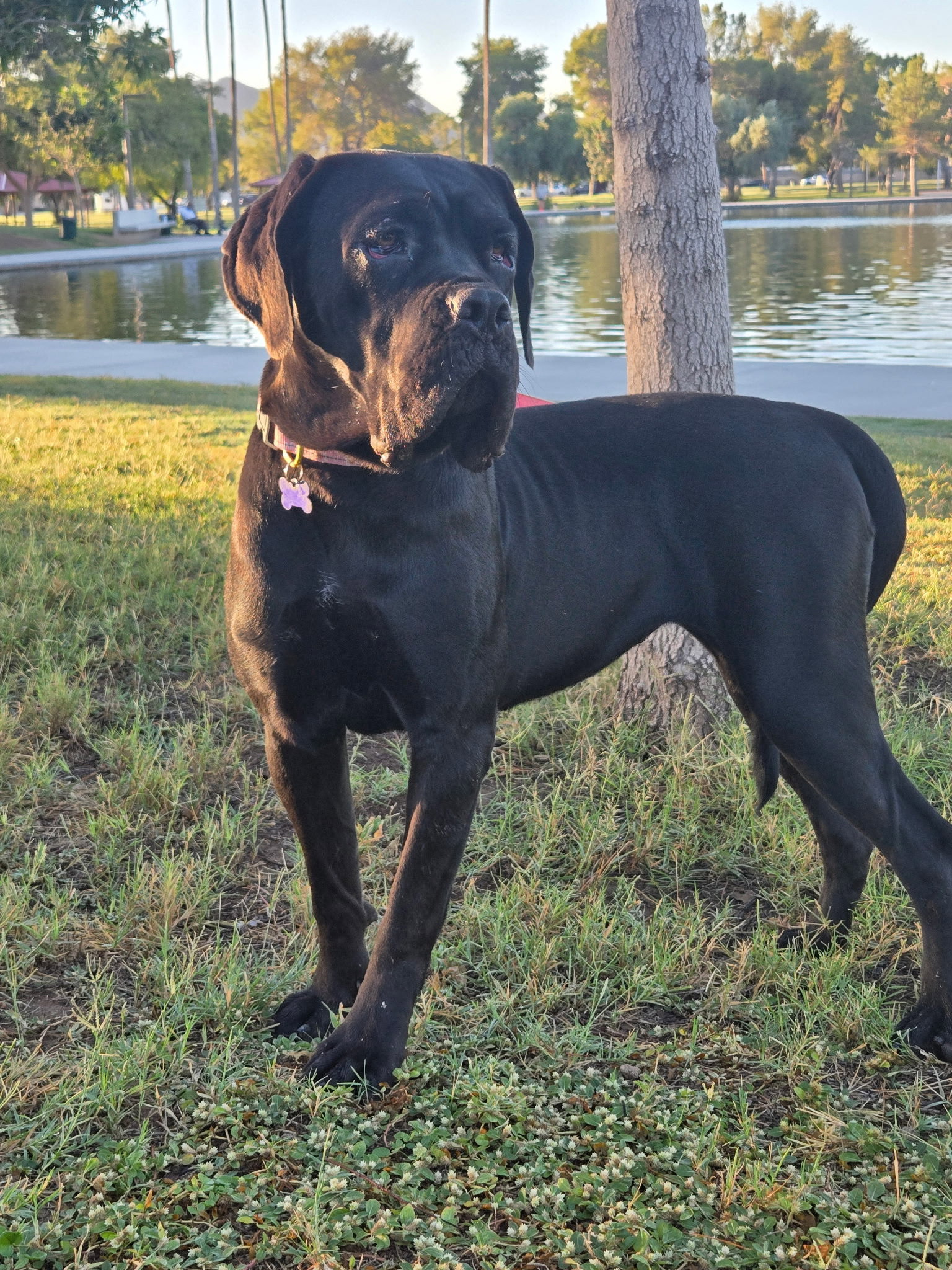 Sophie