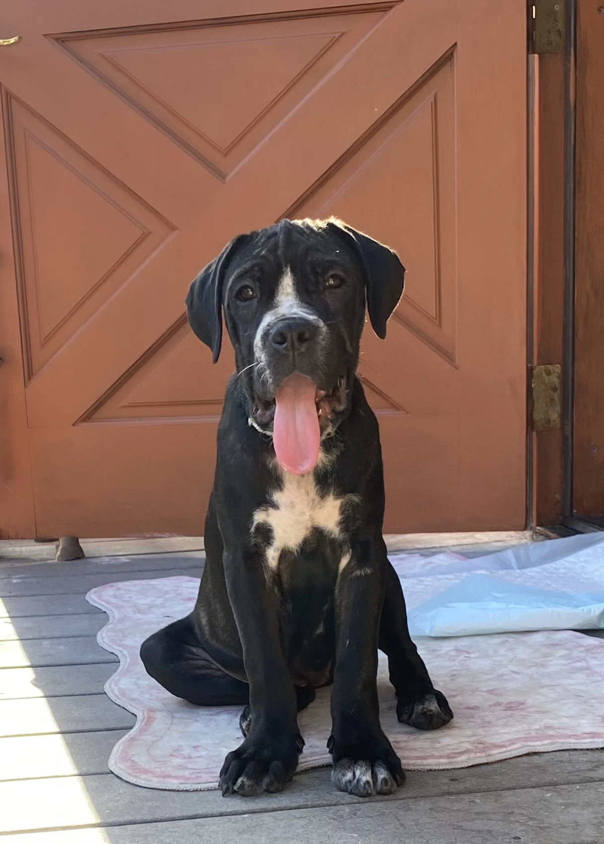 Winnie
