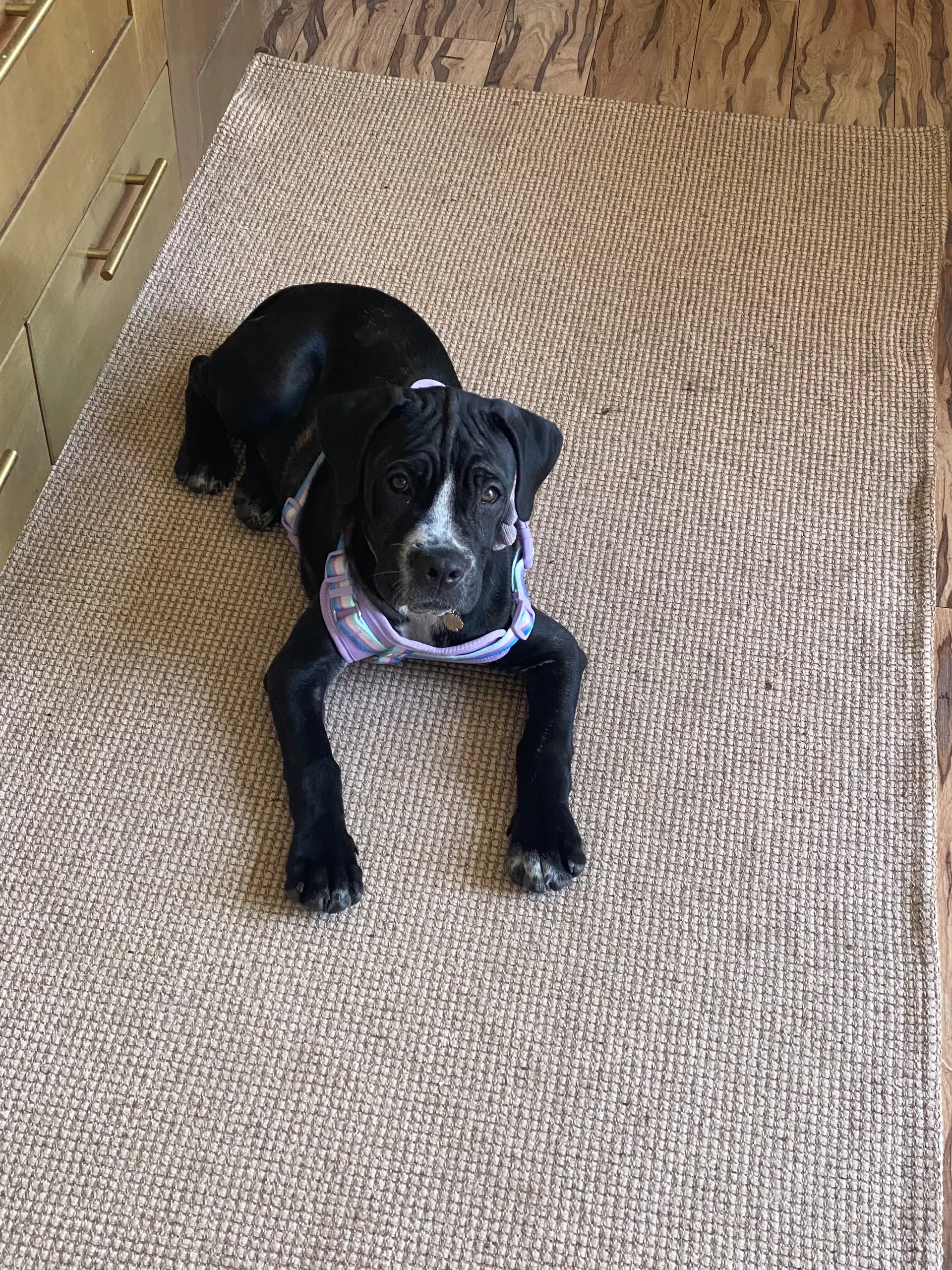 Winnie image 3