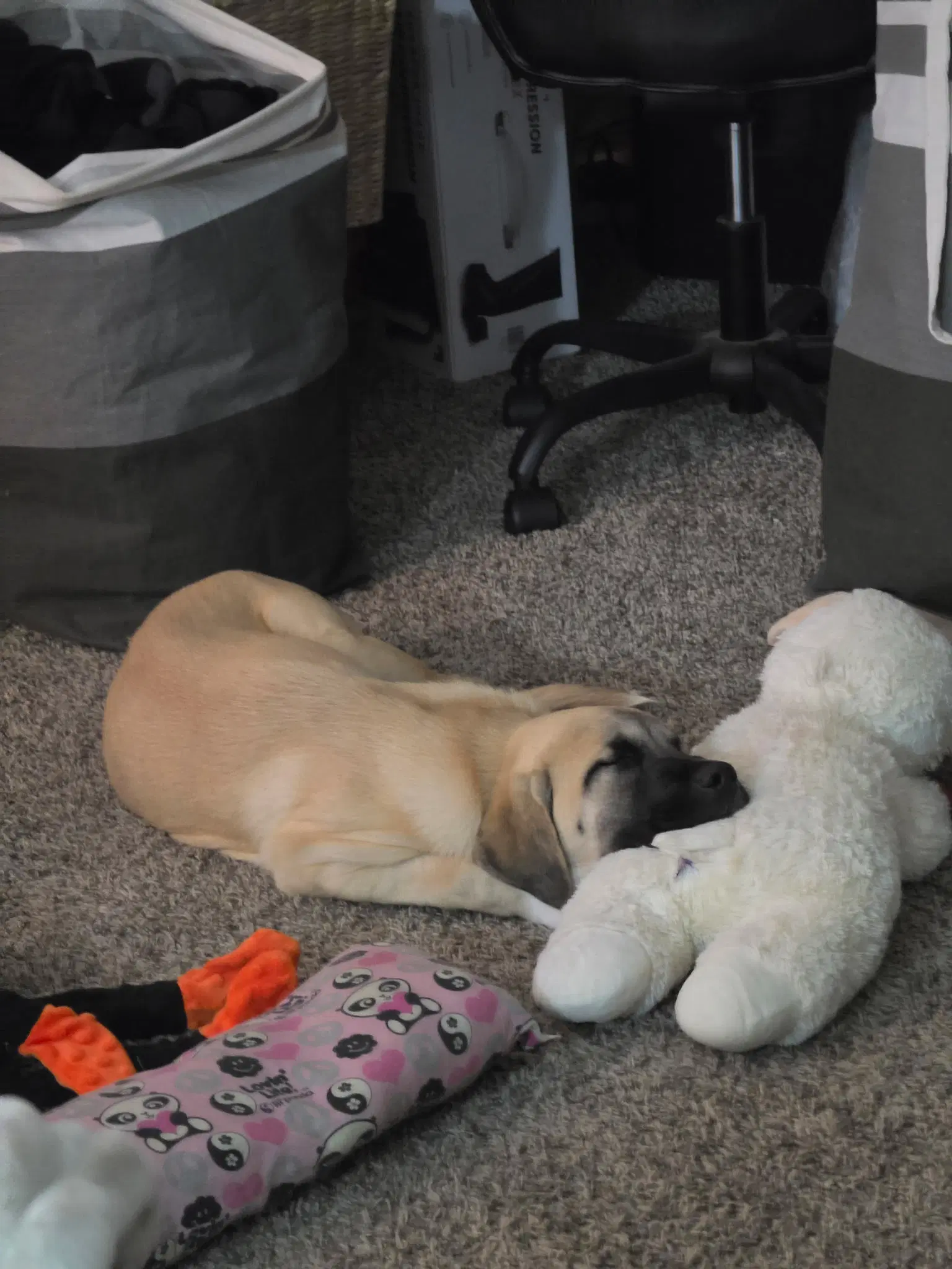 Winnie image 3