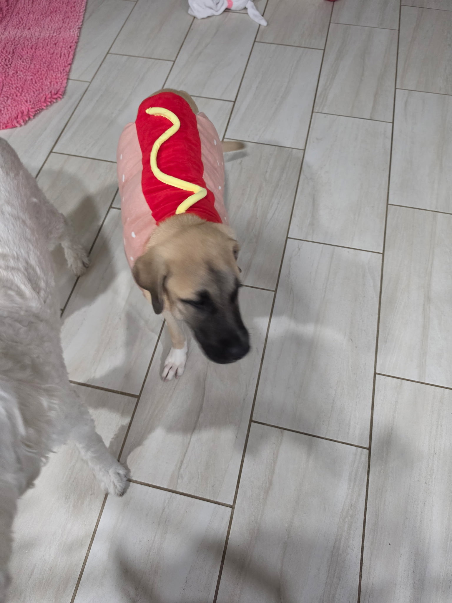 Winnie, photo 6