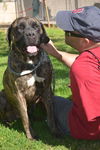 Cassi-ADOPTION PENDING!!!