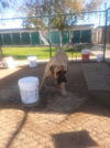 Bozley
