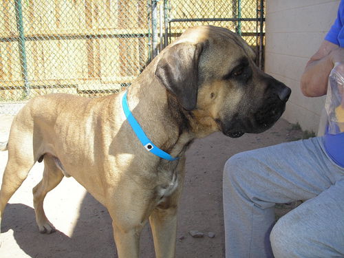 Jarred/Adoption Pending