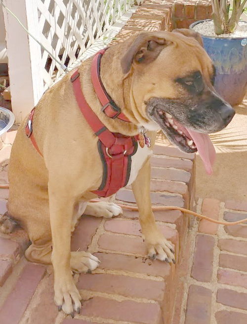 Delilah