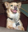 Max