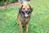 SONNY BOY - Photo 3