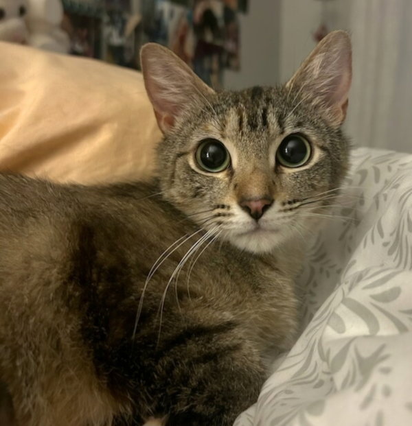 LILLIAN