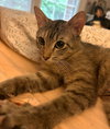 LILLIAN - Photo 1