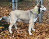 CUBBY HIKER - Photo 4