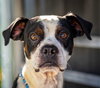 OTIS - Photo 3