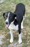 BEAUREGARD is BEAUTIFUL - Photo 1