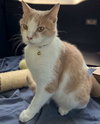 MOOCHIE - Photo 3