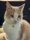 MOOCHIE - Photo 1