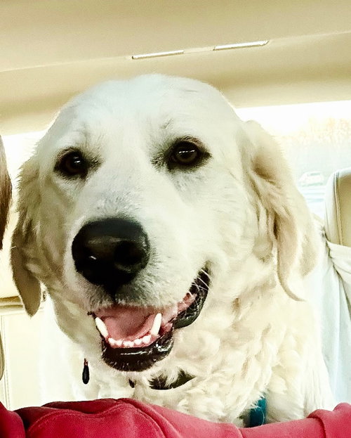 WINNIE  GENTLE GIRL