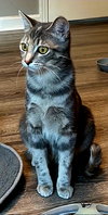 MOMMA MEREDITH GREY - Photo 2