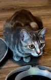 MOMMA MEREDITH GREY - Photo 4