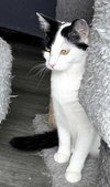 MAMA GABBY - Photo 2
