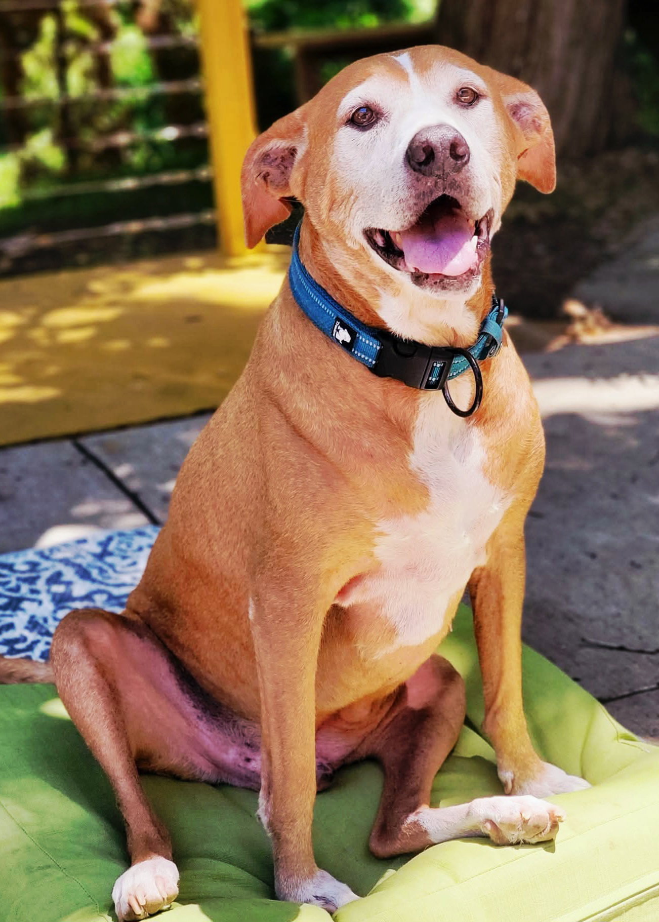 KAHLUA Image
