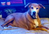 KAHLUA - Photo 2