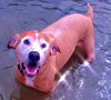 KAHLUA - Photo 3