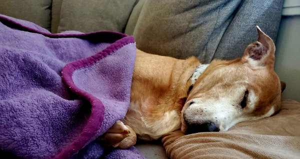 KAHLUA
