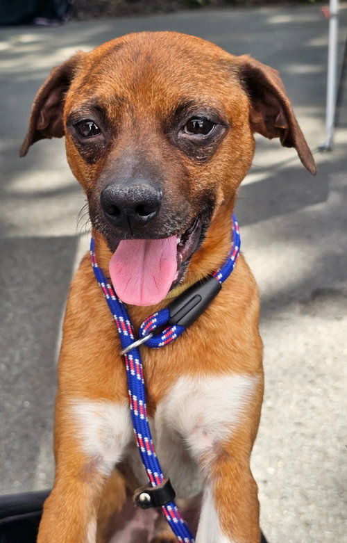 GRANT photo 2