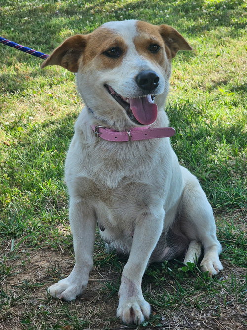 LADY LUCY photo 3