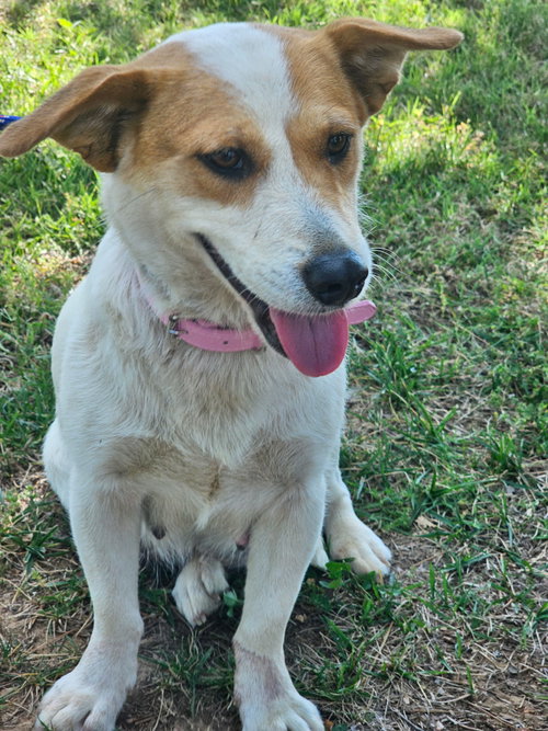 LADY LUCY photo 4