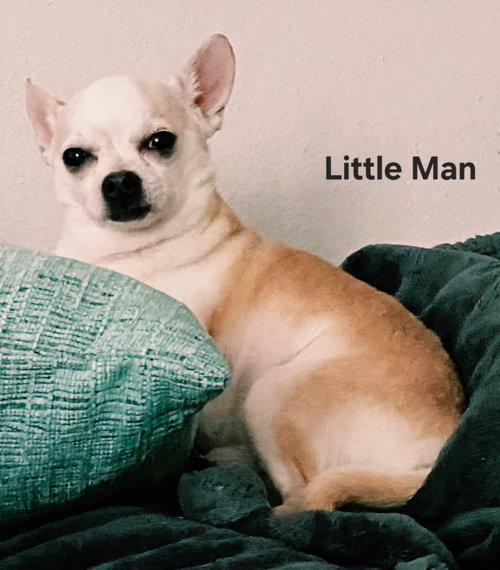 LITTLE MAN