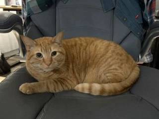 Milo