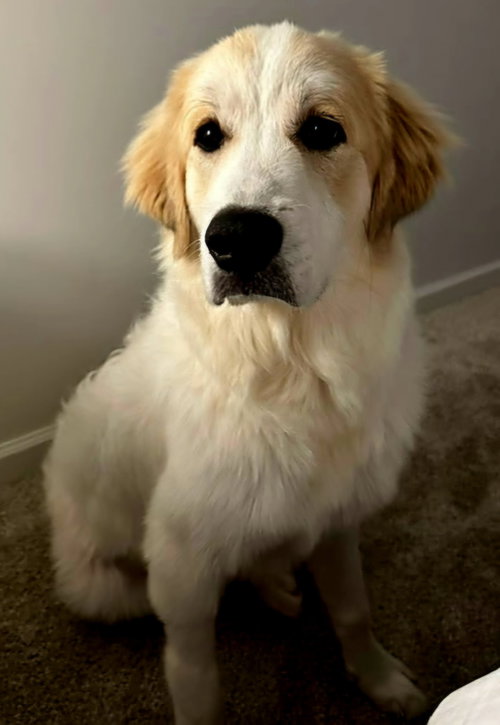 Daisy'S Destiny photo 2